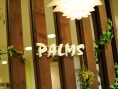 hair-make palms_五十嵐
