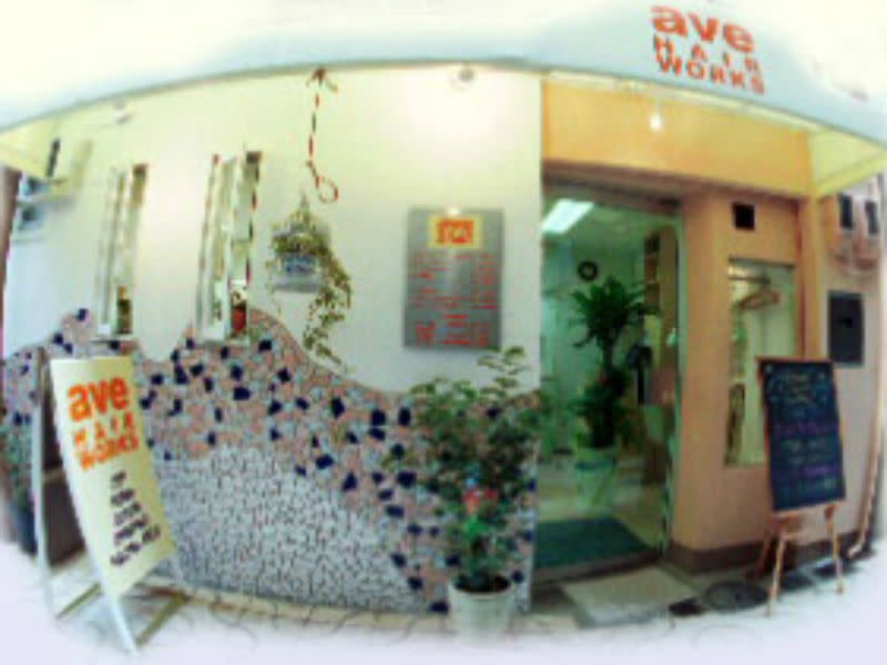 ave HAIR WORKS_2
