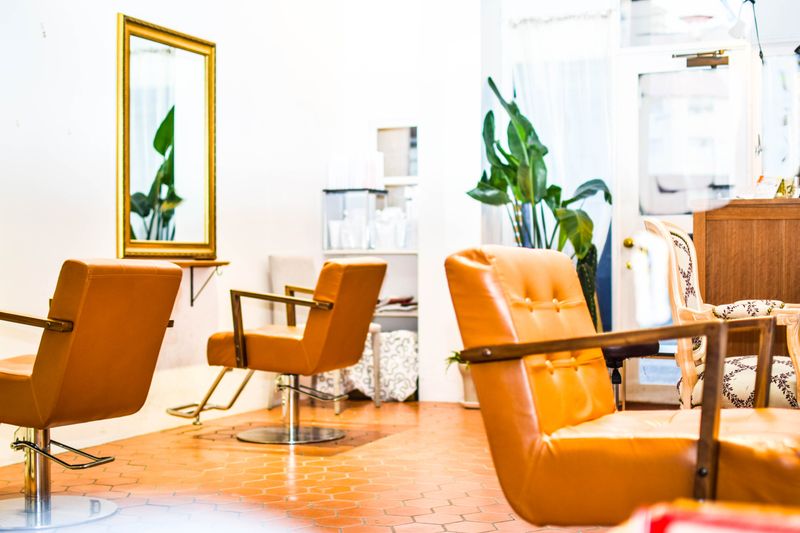 Canna hair maison_1