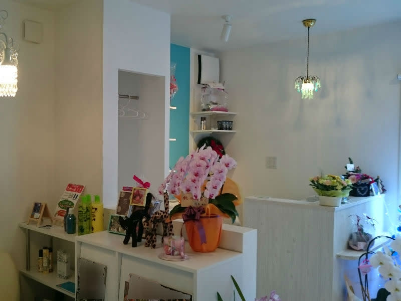 hair design moon L_1