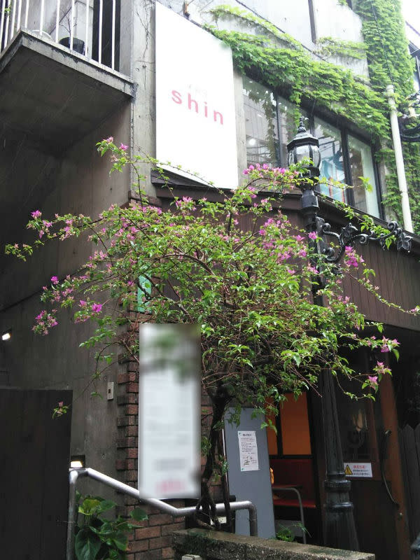 shin_1