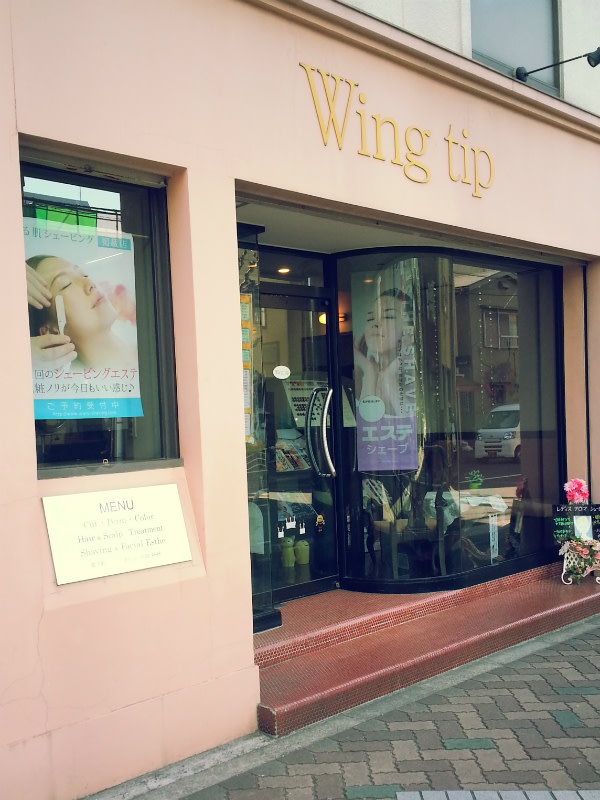 Wing Tip