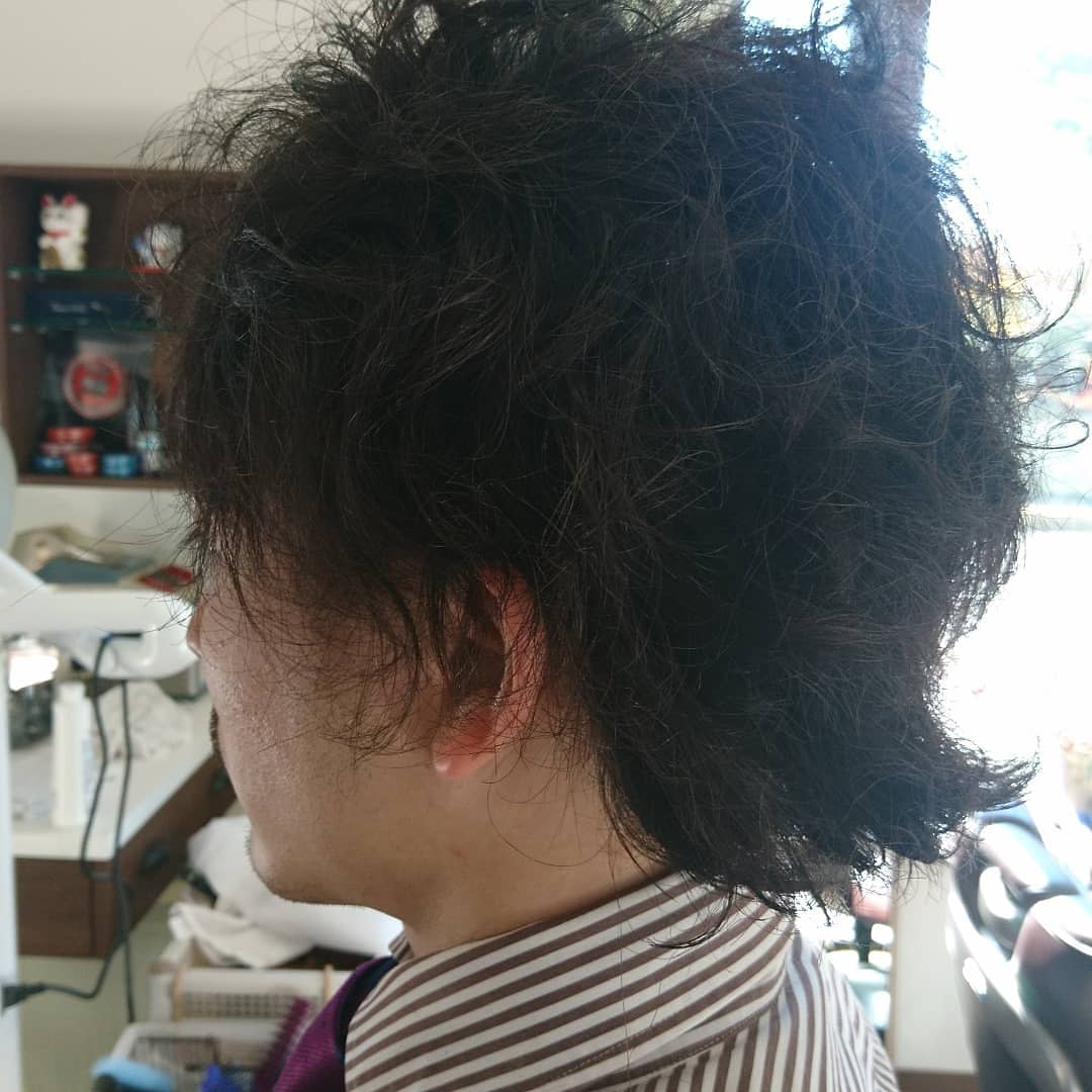 REGIONAL HAIR SHIBATA_2