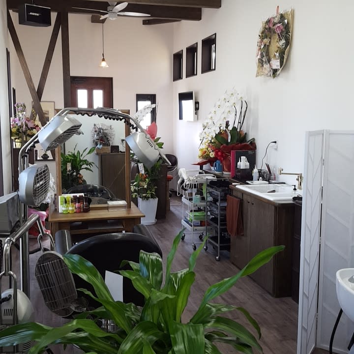 Beauty Salon Little_1