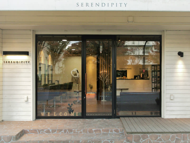 SERENDIPITY