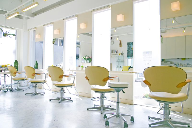 Stuff it Hair_2