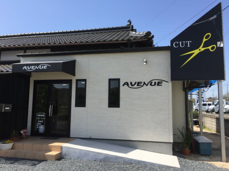 Cut Space AVENUE
