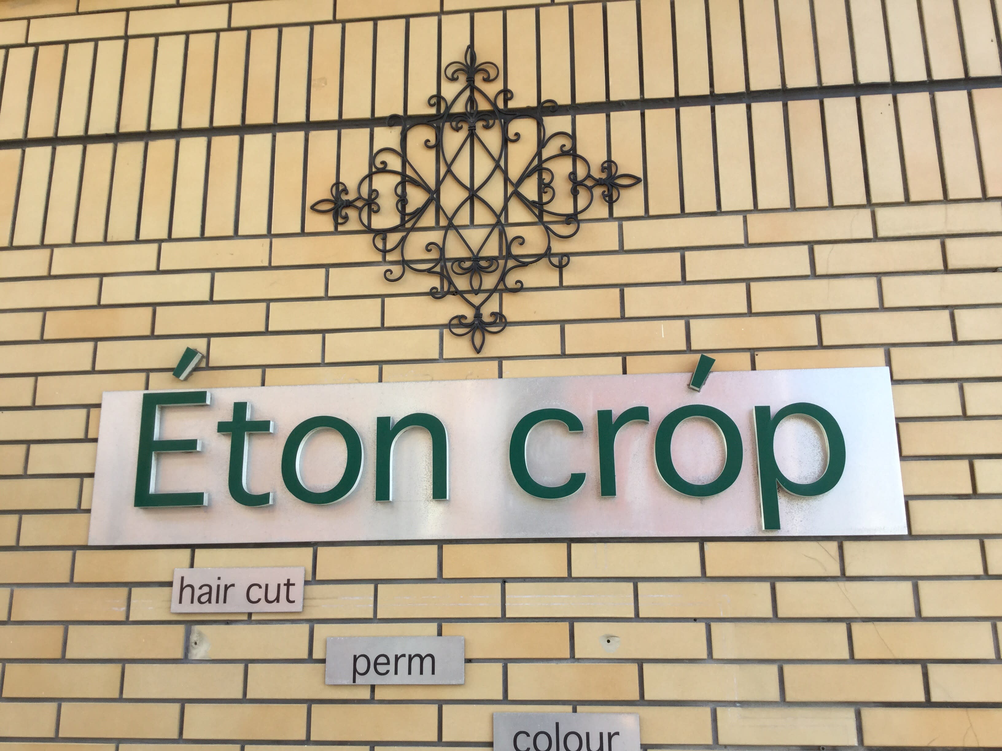 Eton crop_Eton・crop