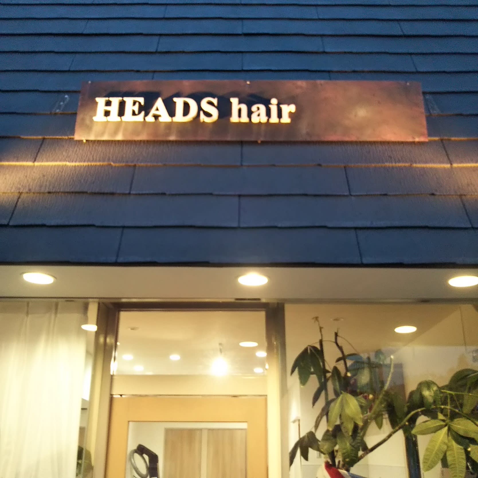 HEADS・hair_2