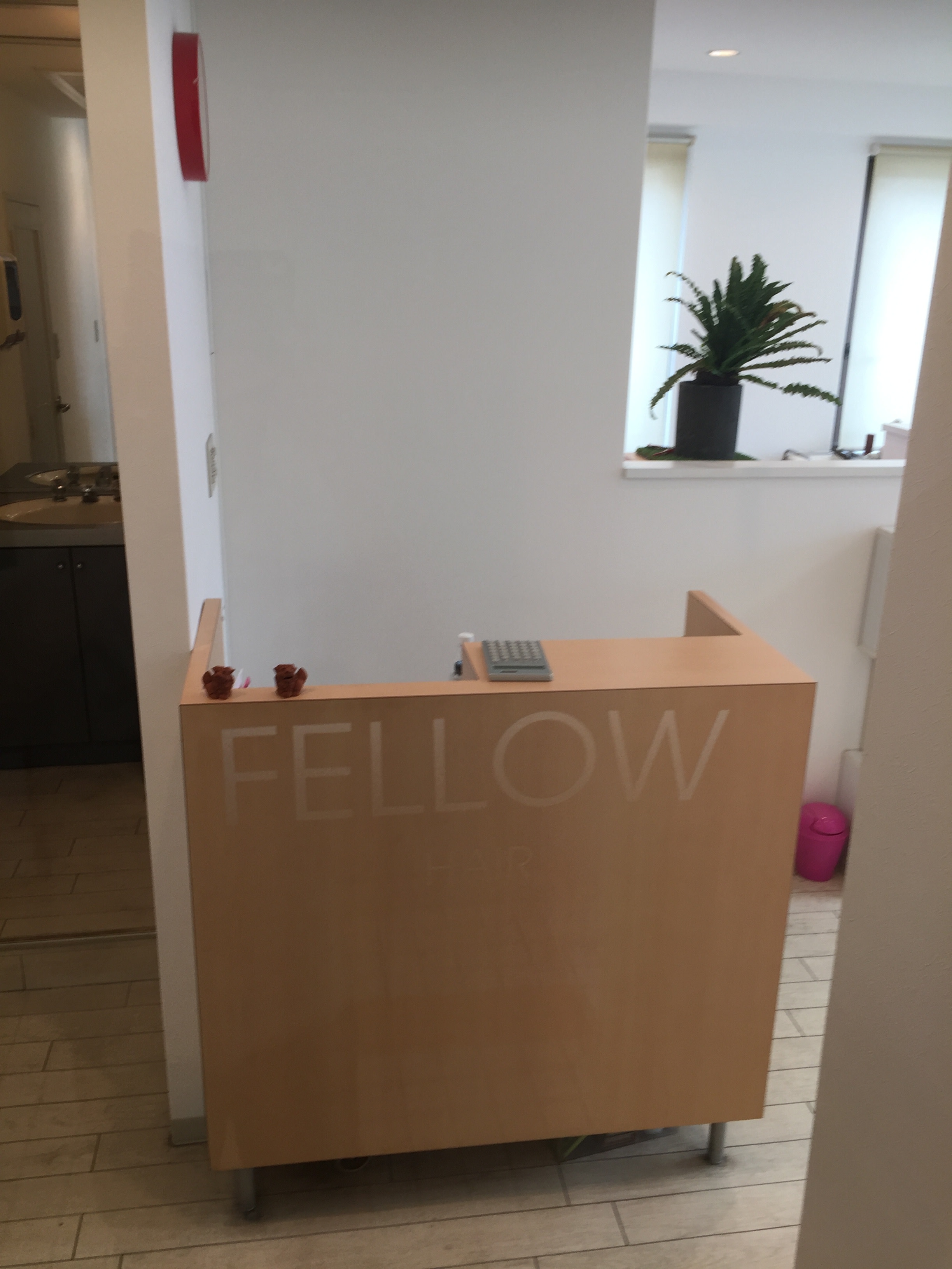 FELLOW HAIR_2