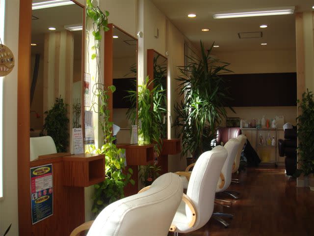 Hairmake Mint_1
