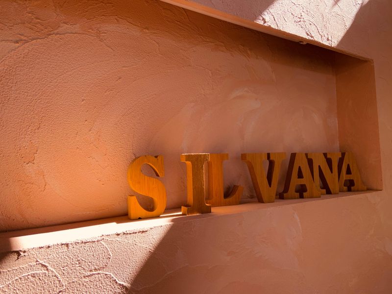 Silvana Hair Studio_2