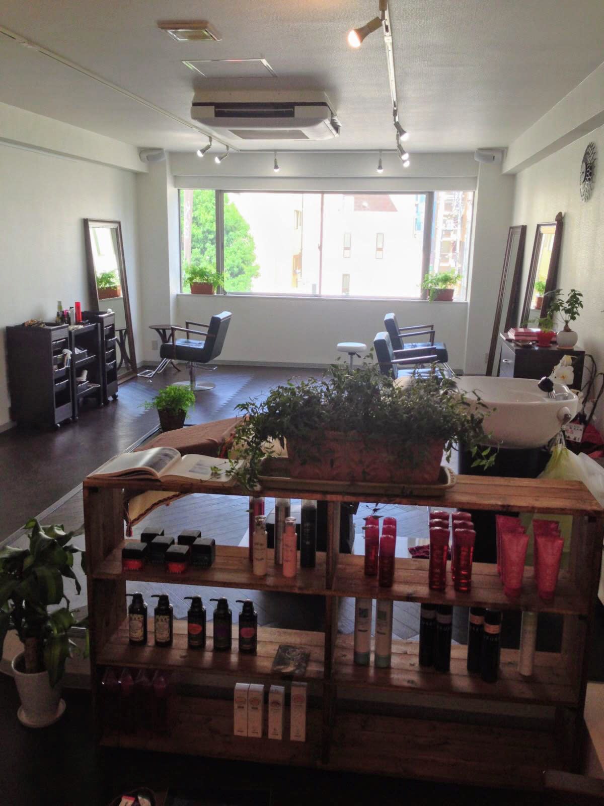 hair design Koa_1
