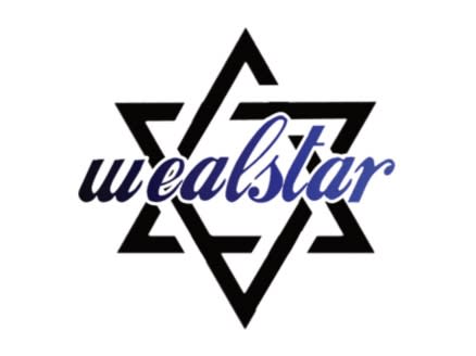 Wealstar hair design_砂田 竜児
