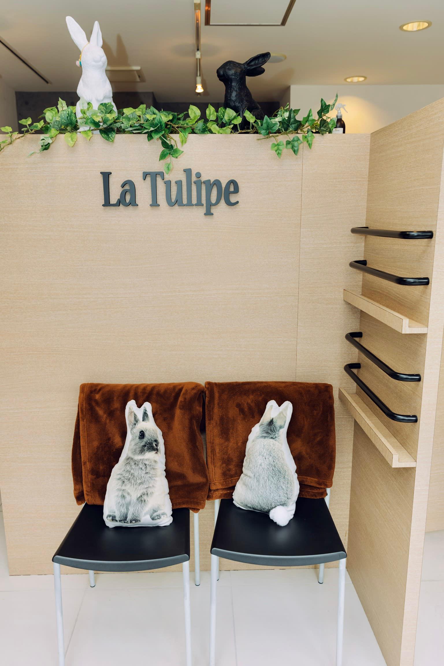La Tulipe_1