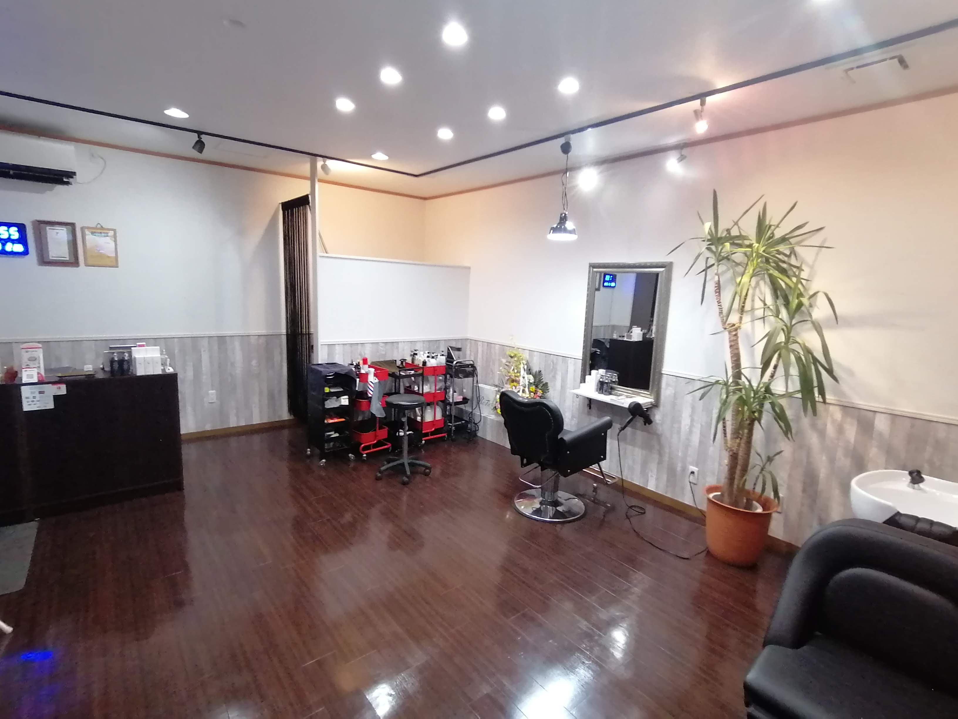 HAIR Y's for style