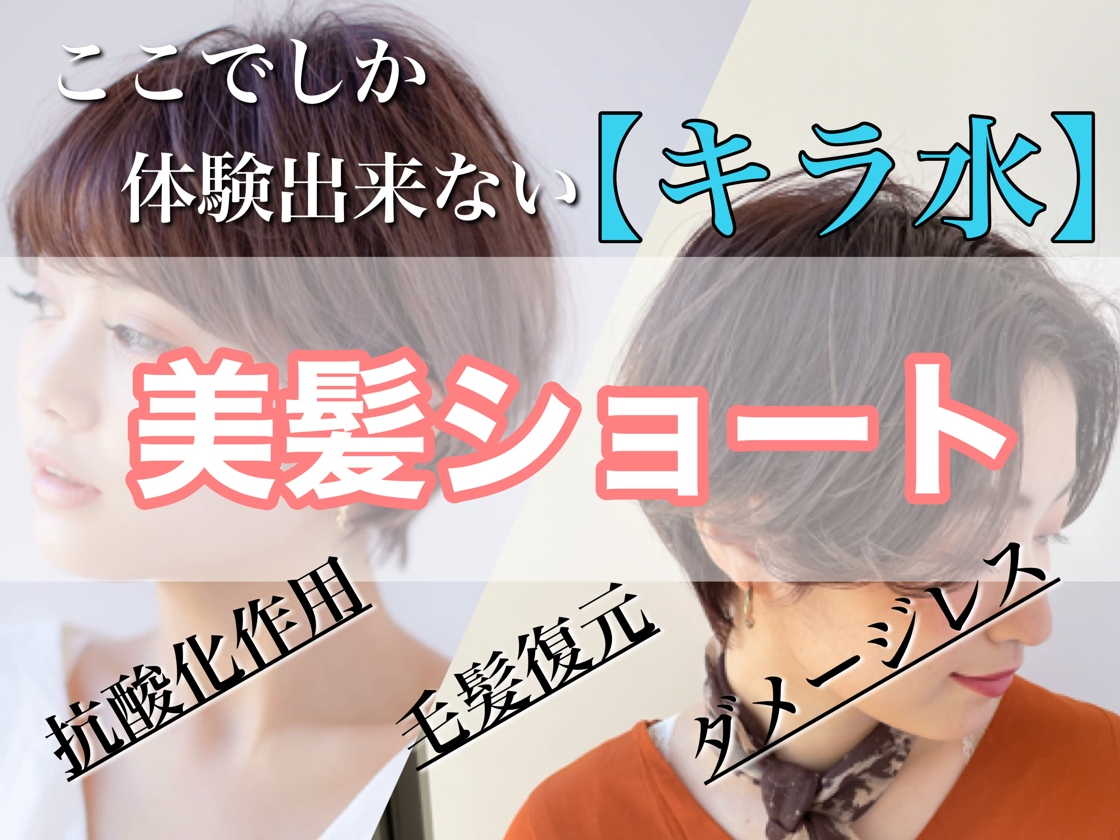 Ash 大泉学園店_2