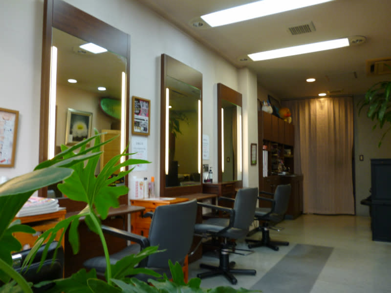 HAIRPARK Verry_1