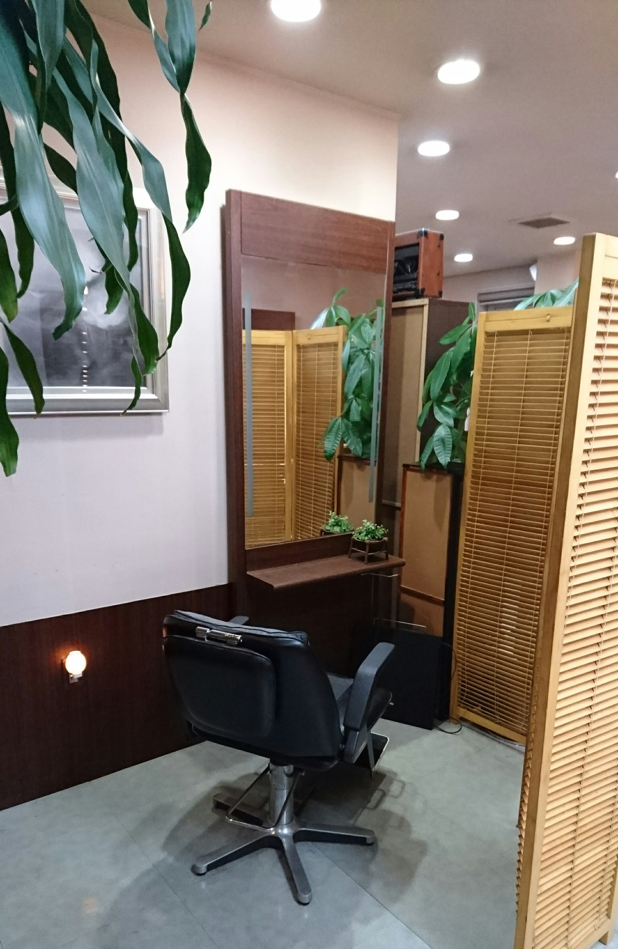 HAIRPARK Verry_2