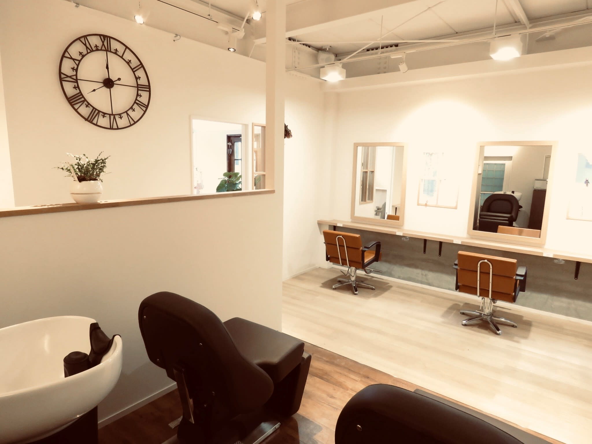 hair and spa palm_1