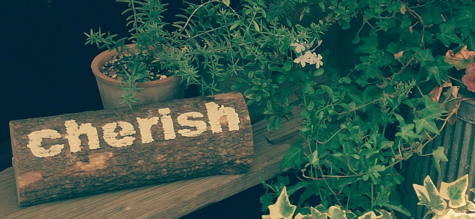 cherish_2