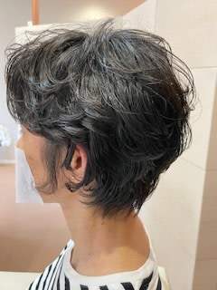 Aile hair