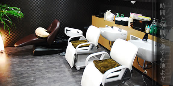 HAIR SALON appears_2