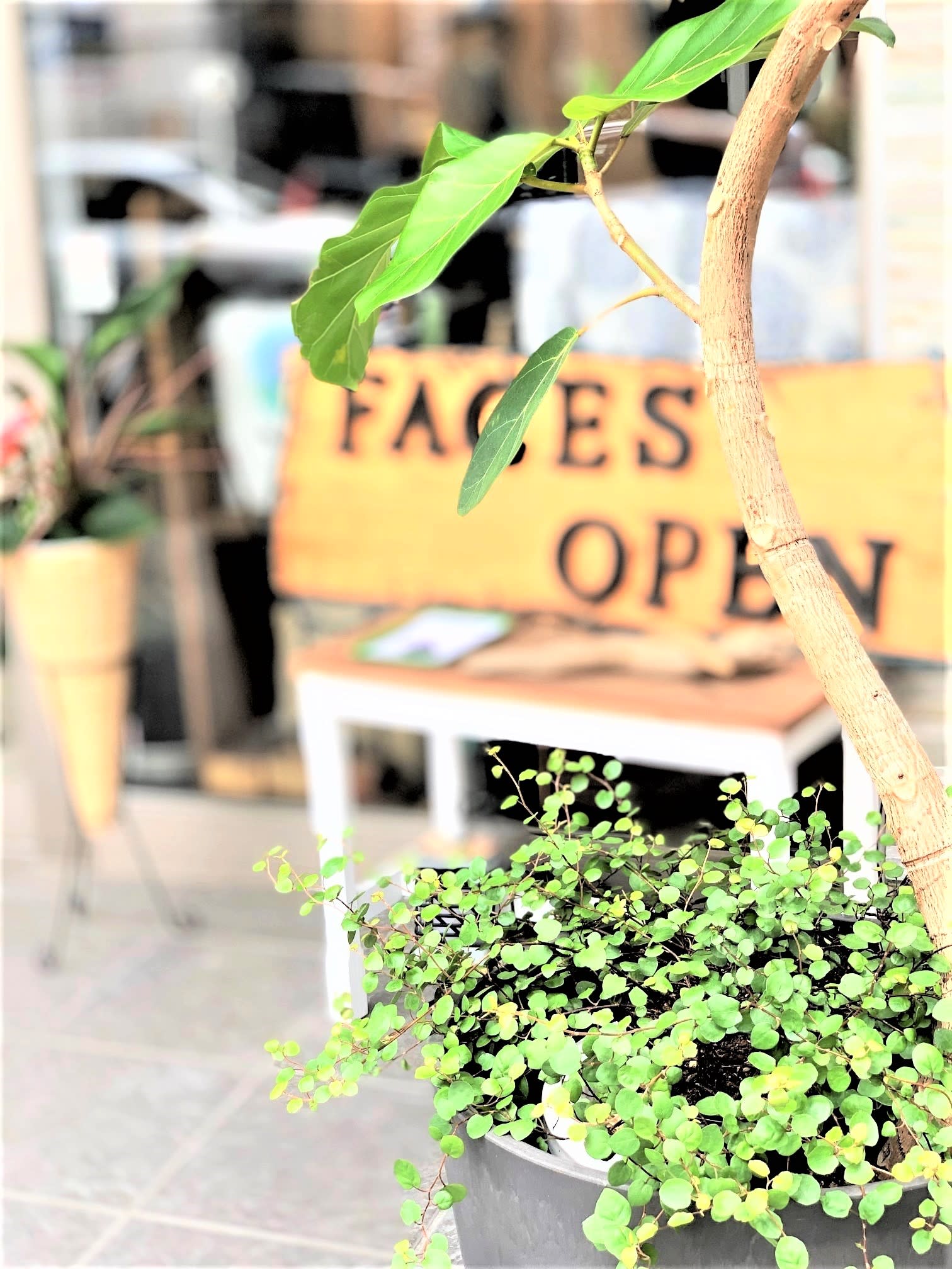 FACES hair lounge