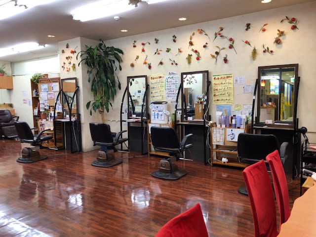 HAIR ESTHESALON AONO
