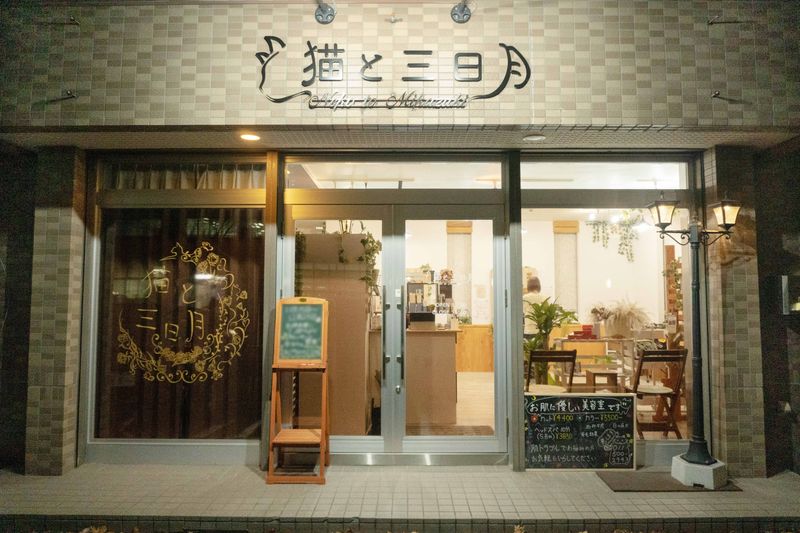 猫と三日月_2