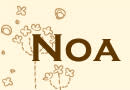 NOA_NOA
