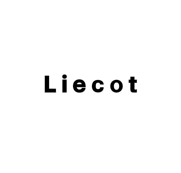 Liecot 浦和美園店_Liecot 浦和美園店