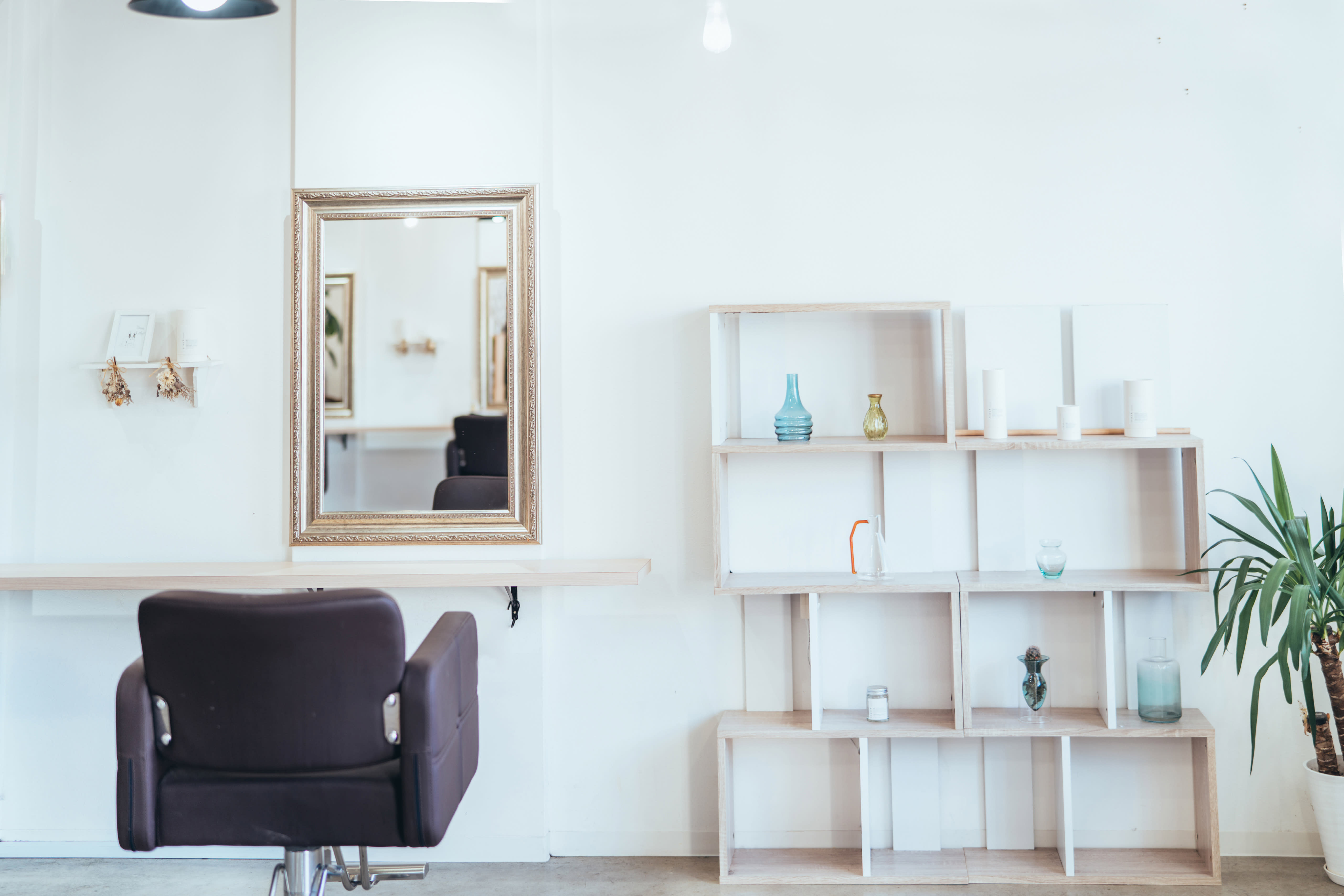 crevia hair beauty