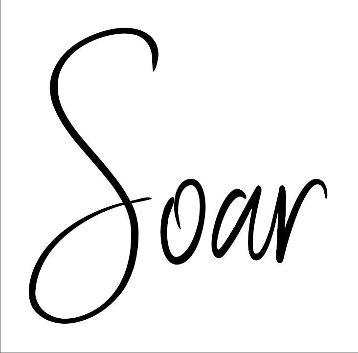SOAR HAIR WORKS_arata