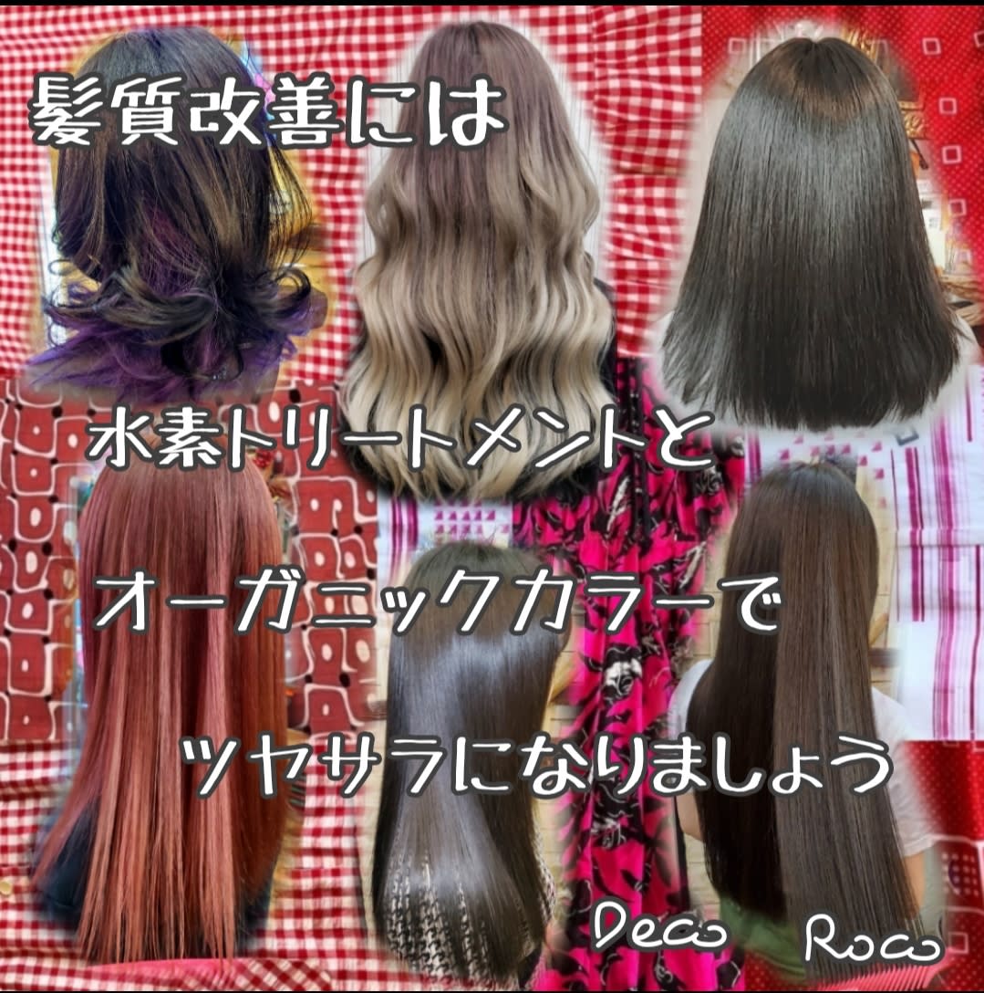 ROCO Market extensions 亀戸店
