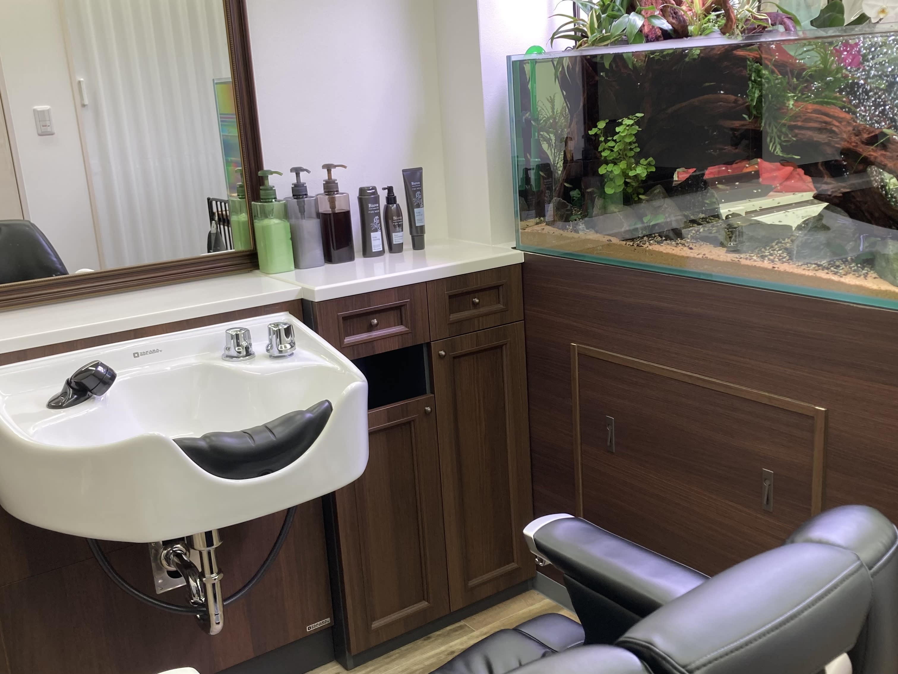 barber shop&Y