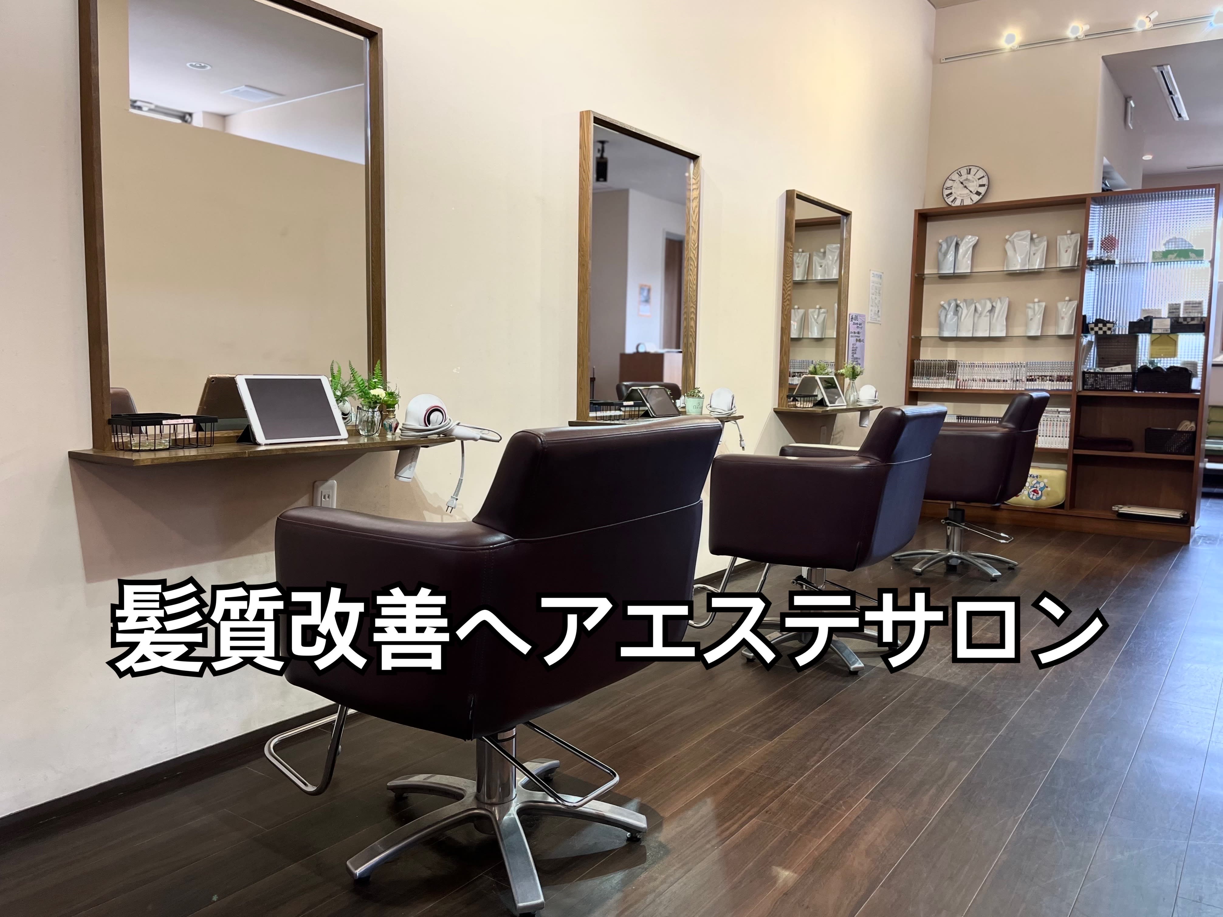 美髪に特化した髪質改善専門サロン Serendipity