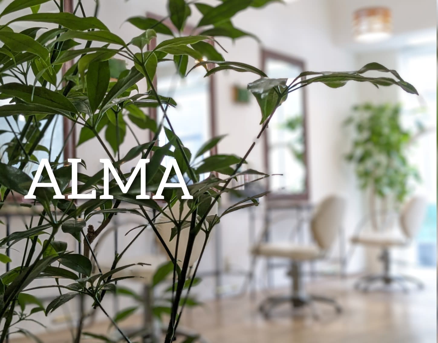 ALMA
