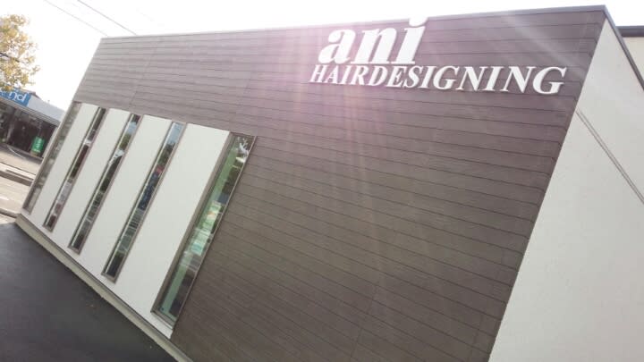 ani  HAIR DESIGNING_2