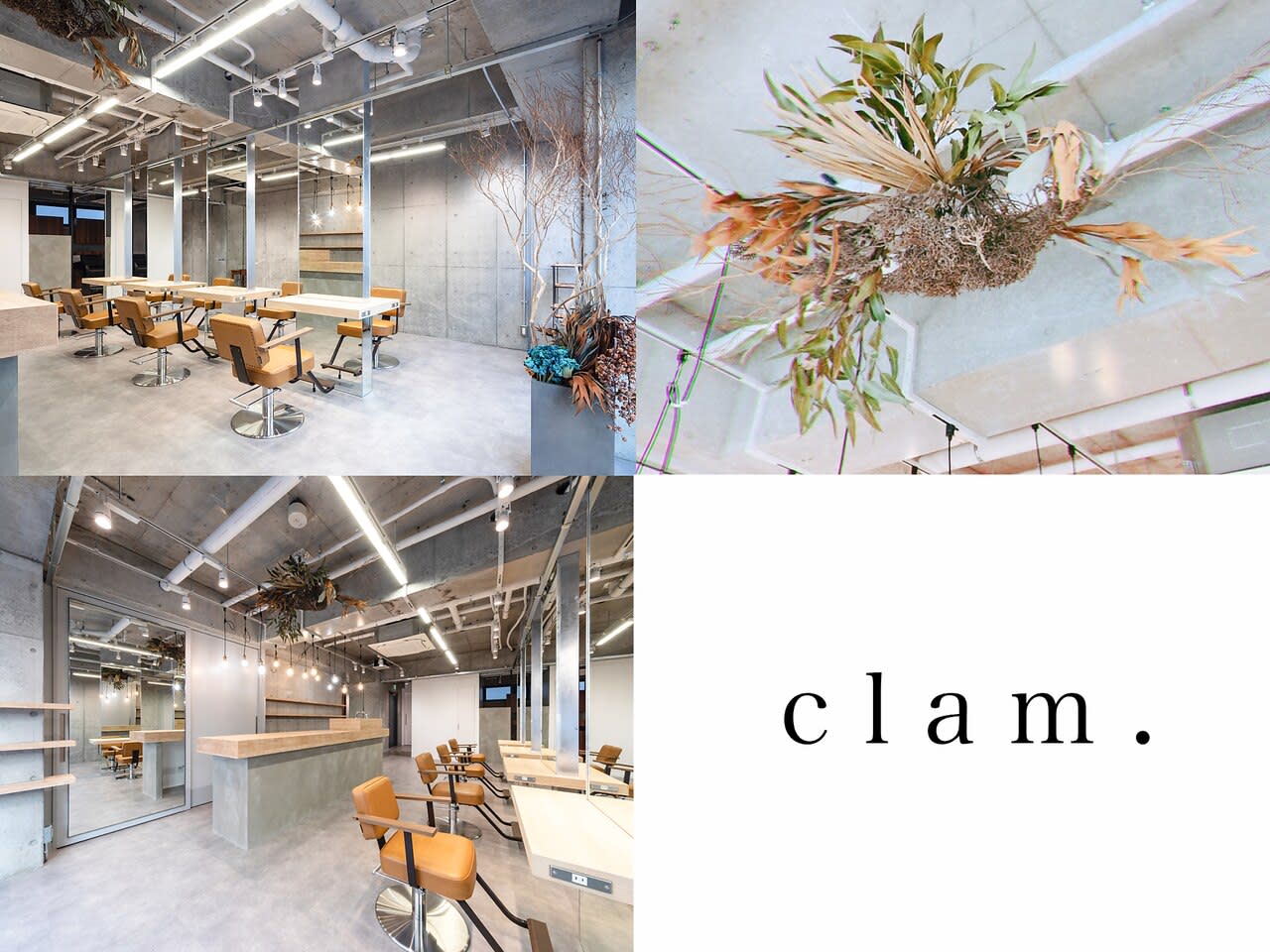 clam. at loRe