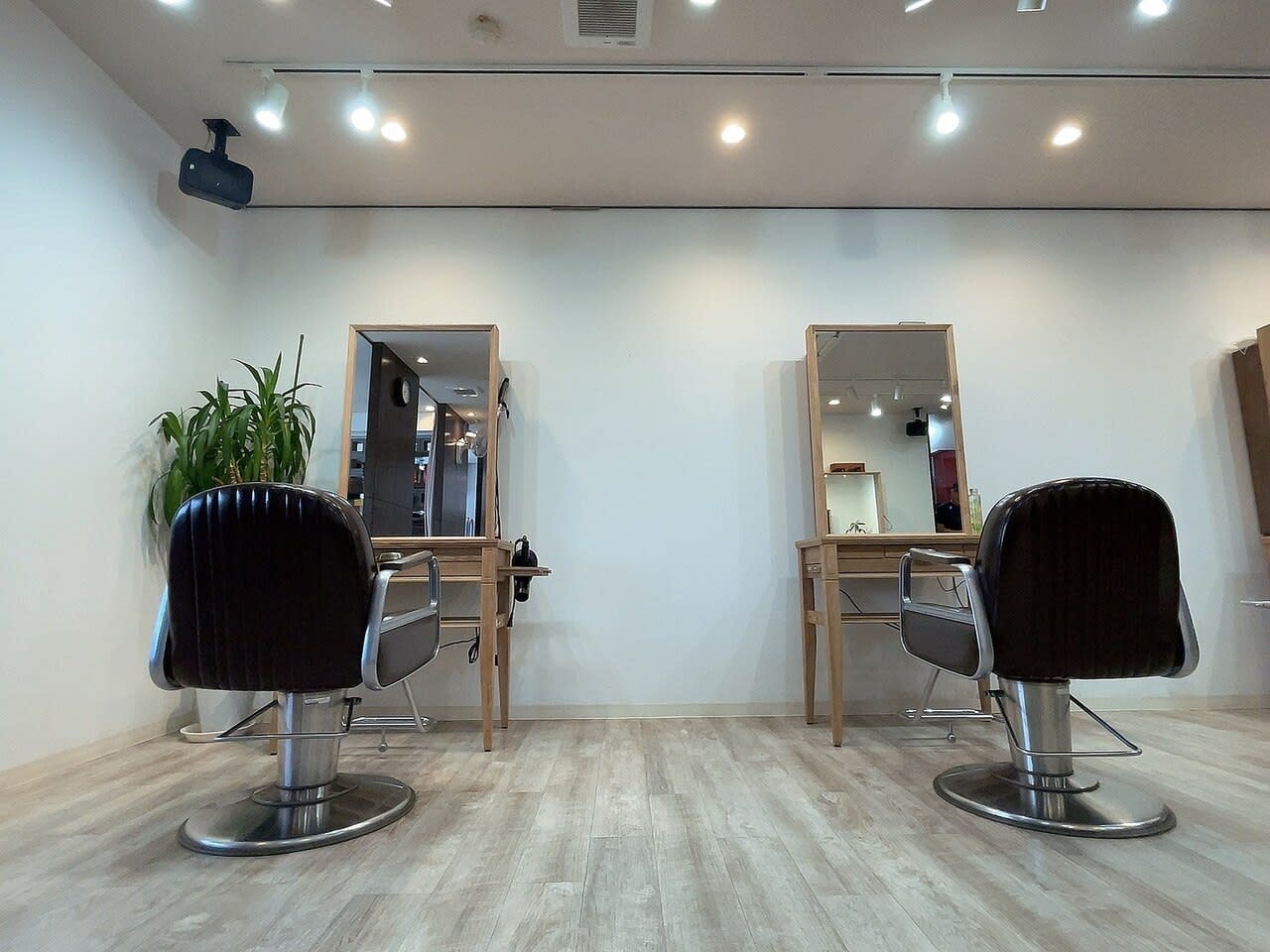 hair snip