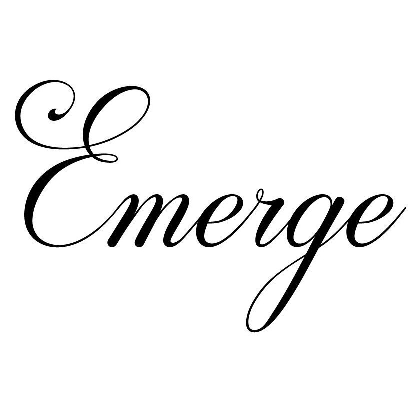 Emerge 蒲田【エマージュ】_林塁面貸し