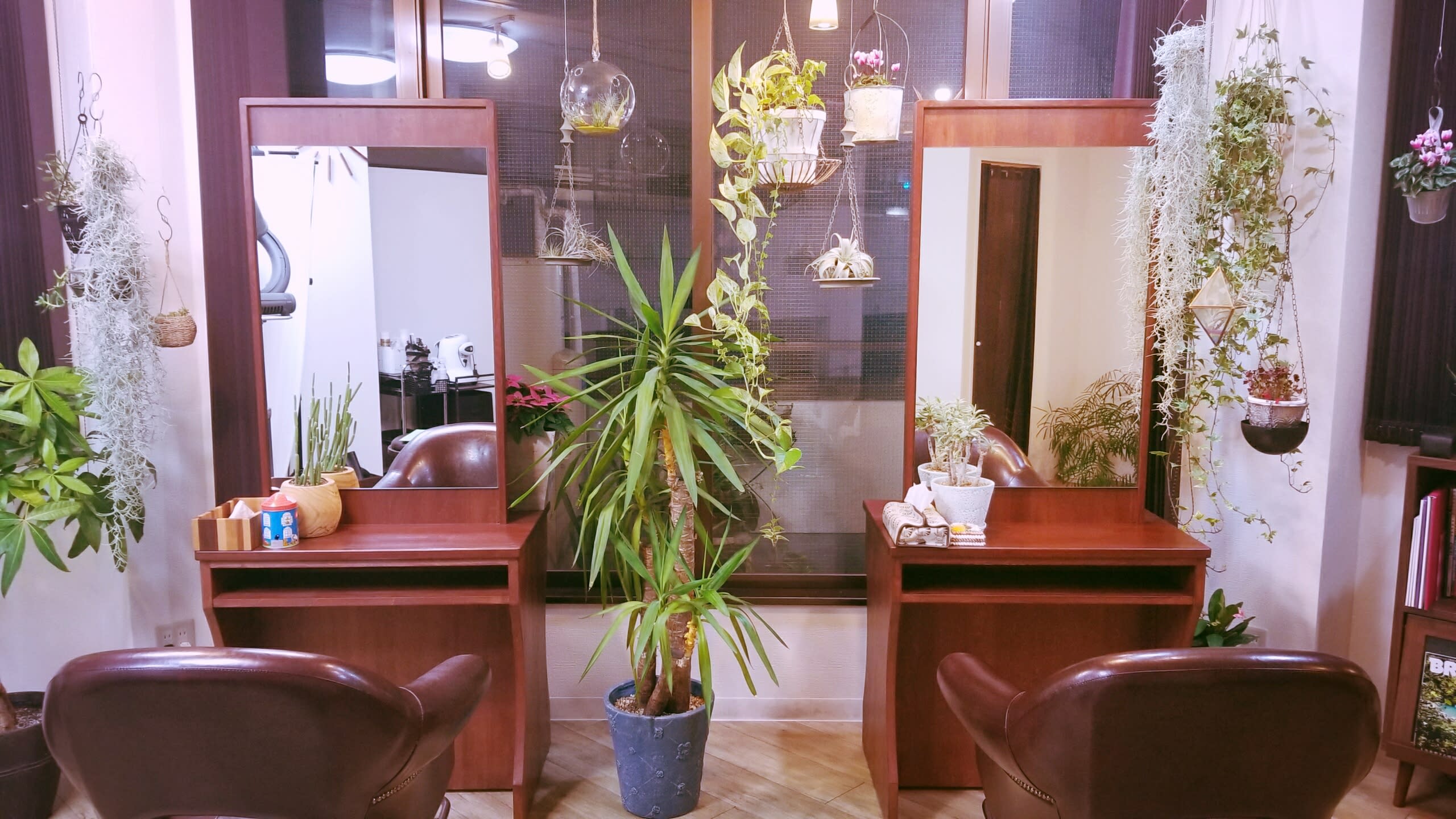 hair salon 虹_2