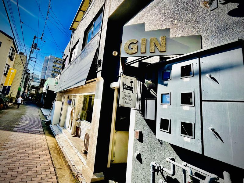GIN_2