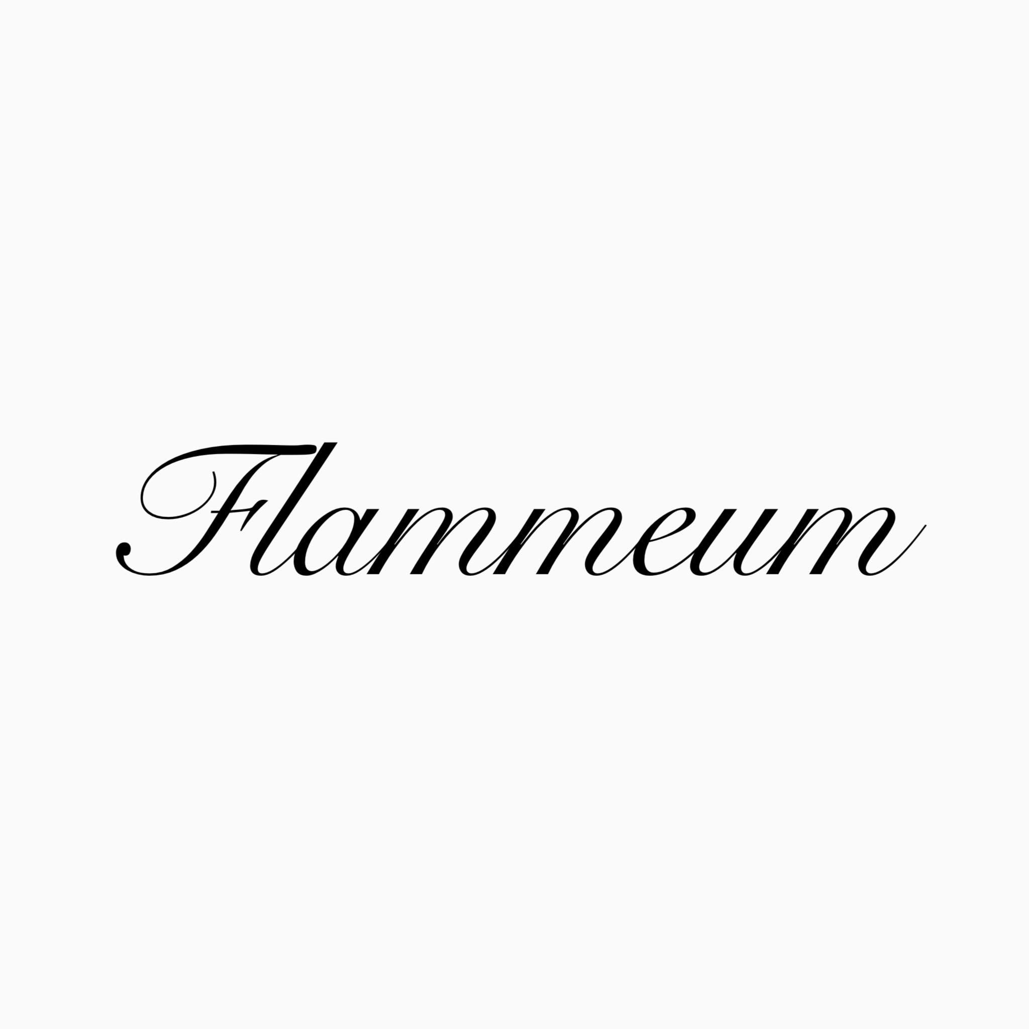 flammeum 高崎_藤原 聡