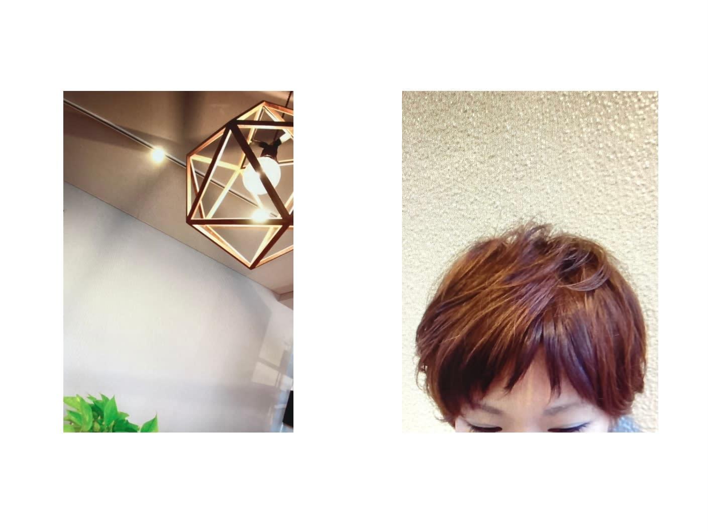 CHI‐QUE＆Co._1