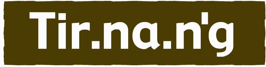 Tir.na.n'g_浅野