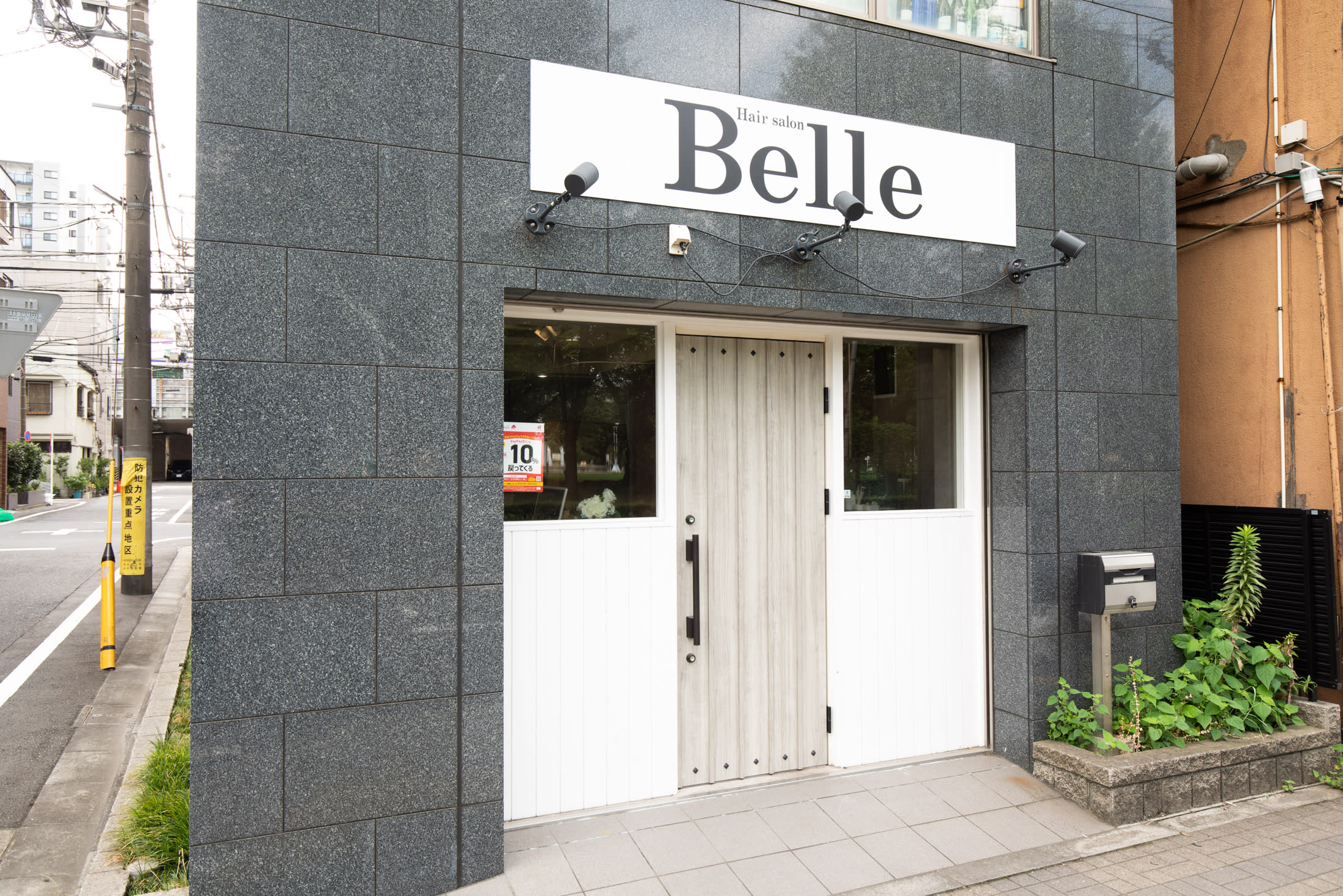 Belle_2