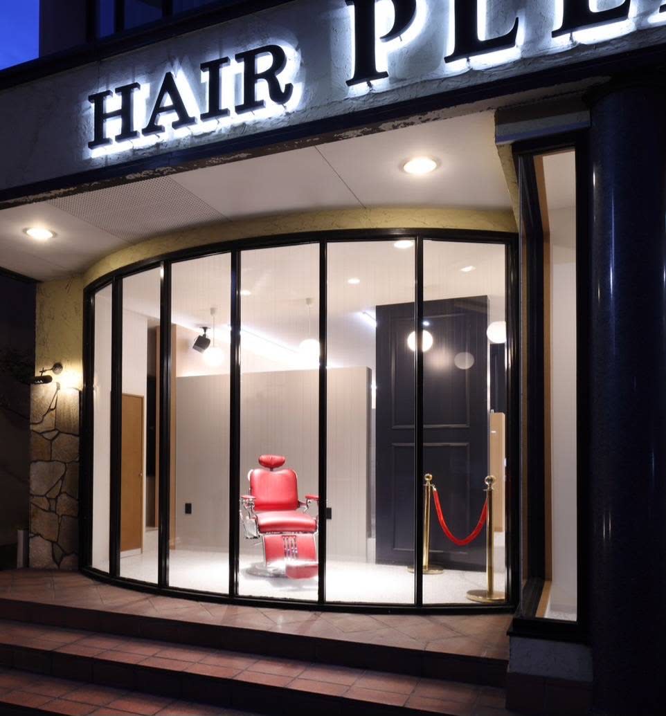 HAIR PLEASIS