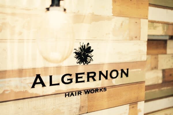 ALGERNON 【アルジャーノン】_ALGERNON